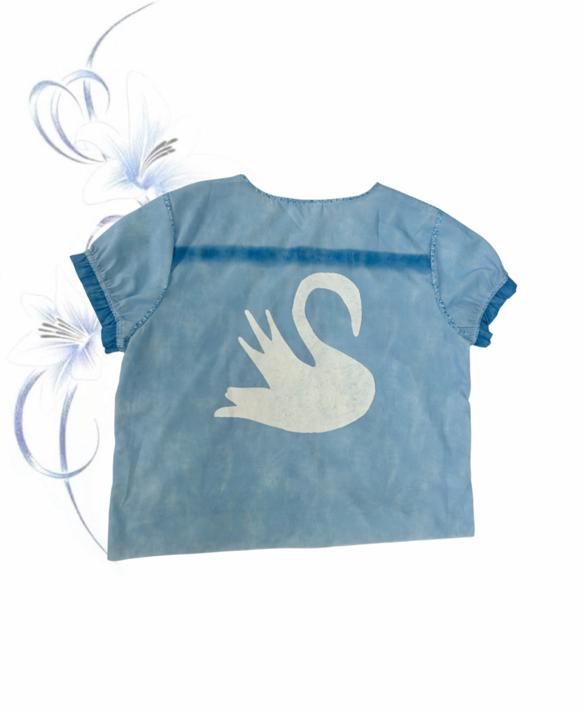 mysterious swan