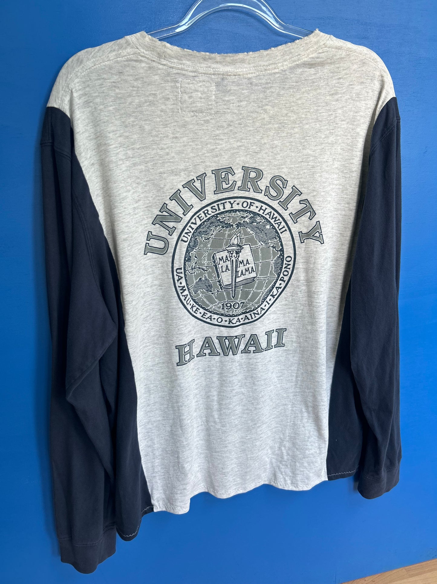 hawaii manoa pullover