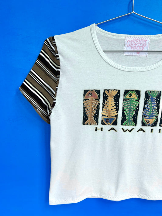 hawaiian stripes