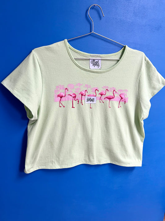 flamingo party